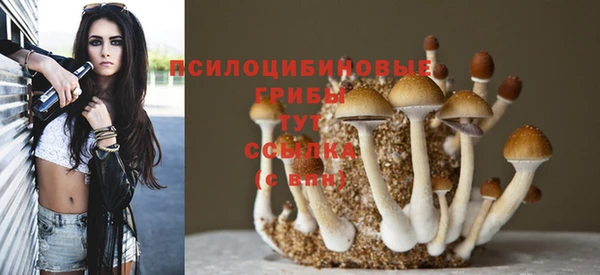 дмт Корсаков