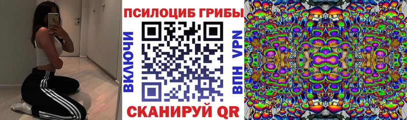 Купить закладки  Сорочинск  Галлюциногенные грибы Psilocybe 